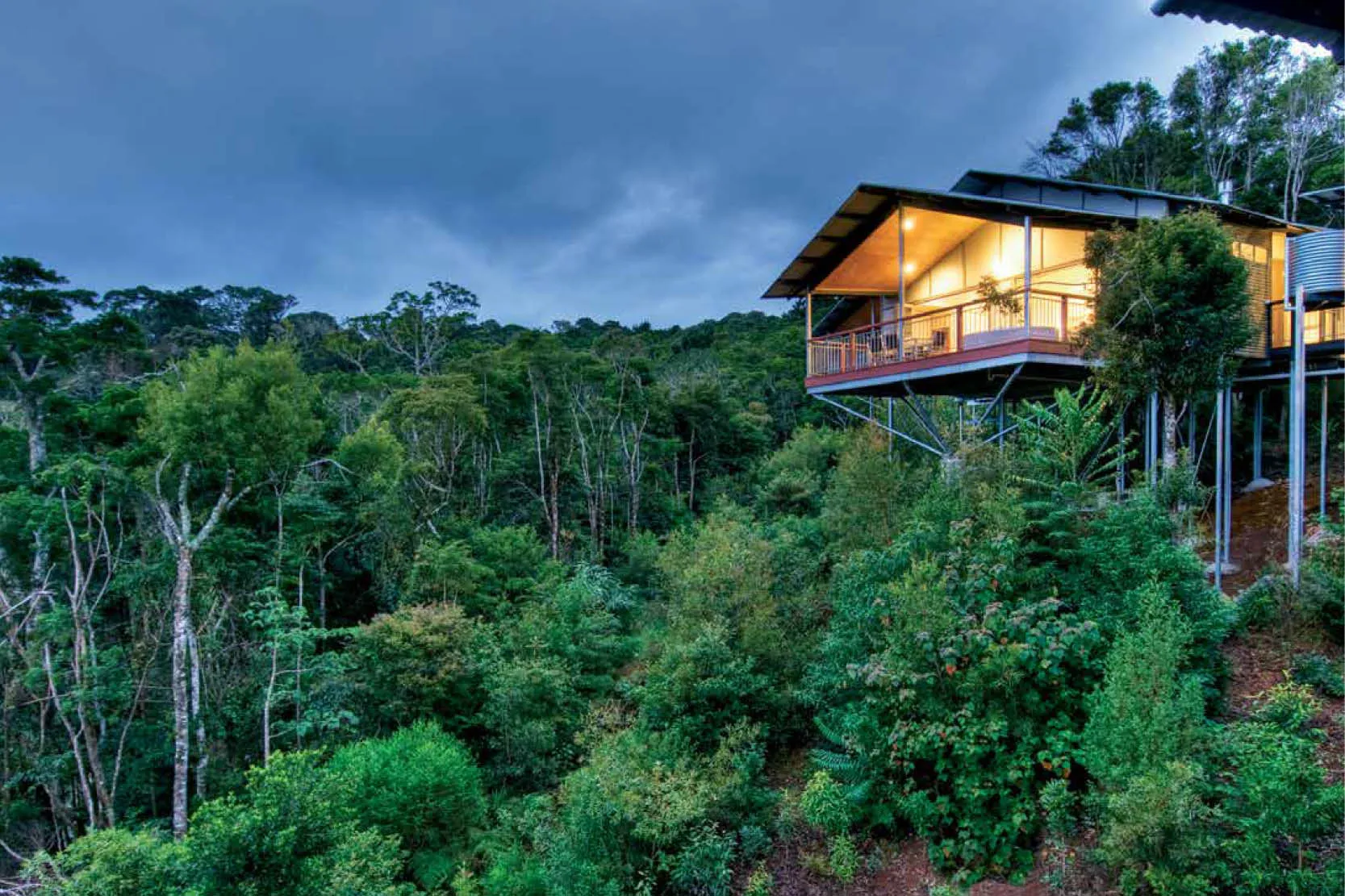 O'Reillys Rainforest Retreat case study visual