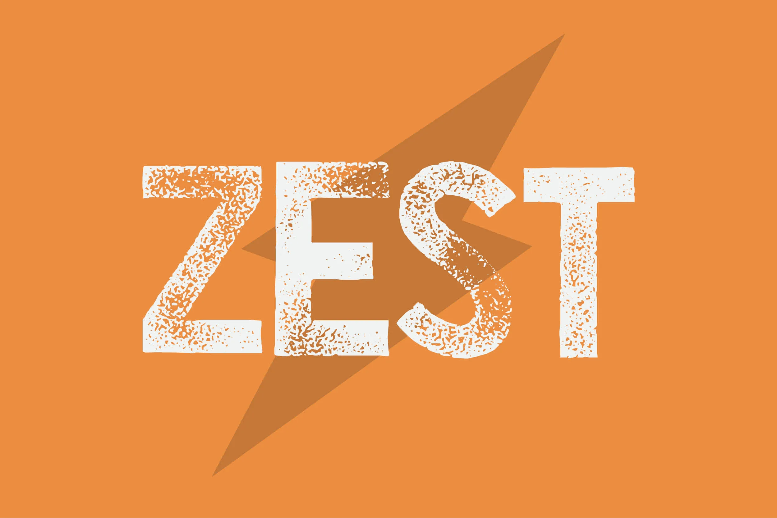 Zest GC case study visual